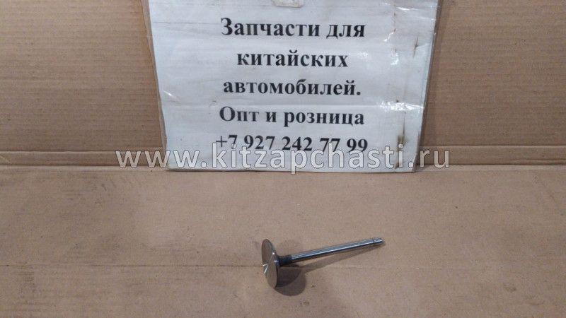 Клапан впускной BAW Fenix 33460 Евро 3 1007011X2